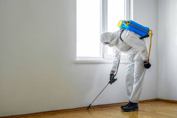 Best Pest Prevention Services  in Pecan Plantation, TX